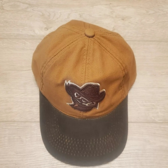 Quad Cities River Bandits Cap MiLB - Picture 2 of 8